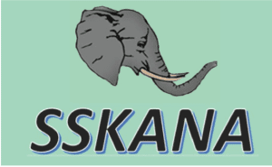 A picture of an elephant with the word " asskana ".